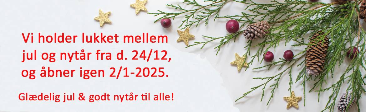 Julehilsen 2024